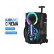 thunder bluetooth zvucnik karaoke set sa mikrofonom ndr-p08 crni-bluetooth-zvucnik-karaoke-set-sa-mikrofonom-ndr-p08-crni-153372-234773-153372.png