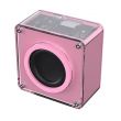 bluetooth zvucnik fantech bs152 nerabox roze-zvucnik-fantech-bs152-nerabox-roze-170624-313921-170624.png