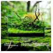 weekaqua ultra clear akvarijum 45c 45x45x45cm x8mm 91l-weekaqua-ultra-clear-akvarijum-45c-45x45x45cm-x8mm-91l-170948-317386-170948.png