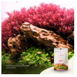 2hr aquarist apt start-2hr-aquarist-apt-start-171131-318230-171131.png