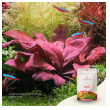 2hr aquarist apt start-2hr-aquarist-apt-start-171131-318231-171131.png