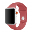 narukvica za apple watch silicone strap tangerin s/ m 38/ 40/ 41 mm-apple-watch-silicone-strap-tangerin-s-m-38-40-41mm-159573-187996-144034.png