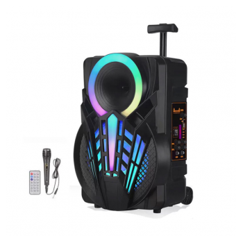 Thunder Bluetooth zvucnik karaoke set sa mikrofonom NDR-P08 crni