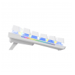 tastatura mehanicka gaming fantech mk855 rgb maxfit 108 space edition (blue switch)-tastatura-mehanicka-gaming-fantech-mk855-rgb-maxfit-108-space-edition-blue-switch-175181-233010-155097.png