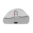 white shark mis wgm 5012 lionel, whireless mouse white rgb / 10000 dpi-white-shark-mis-wgm-5012-lionel-whireless-mouse-white-rgb-10000-dpi-158926-252076-158926.png