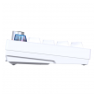 tastatura mehanicka gaming fantech mk920 rgb maxfit 6 wireless bela (white switch)-tastatura-mehanicka-gaming-fantech-mk920-rgb-maxfit-6-wireless-bela-white-switch-167504-293471-167504.png