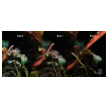 2hr aquarist apt fix - 500 ml-2hr-aquarist-apt-fix-500-ml-171123-318183-171123.png