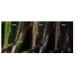 2hr aquarist apt fix - 500 ml-2hr-aquarist-apt-fix-500-ml-171123-318185-171123.png