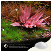 2hr aquarist apt sky plus - 150g-2hr-aquarist-apt-sky-plus-150g-171130-318235-171130.png