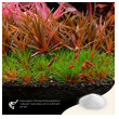 2hr aquarist apt sky - 800g (gh+)-2hr-aquarist-apt-sky-800g-gh-174132-330403-174132.png