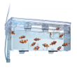 breeding box fluval l hang on-breeding-box-fluval-l-hang-on-174272-330543-174272.png